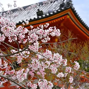 3* Appart hôtel Sakura Gion North